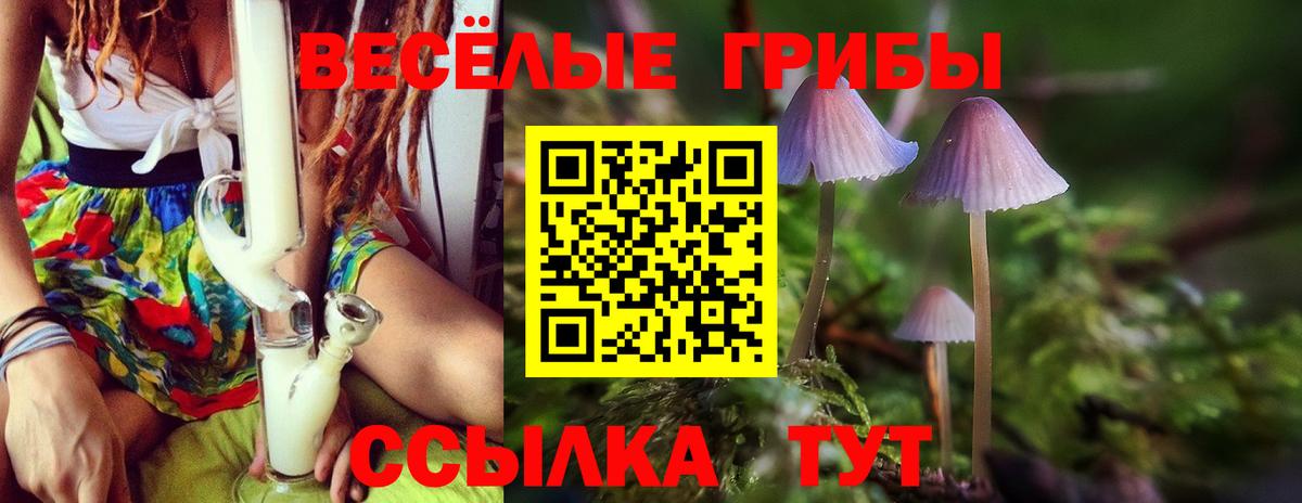 Луховицы  наркошоп  Вход с VPN  Галлюциногенные грибы Cubensis 